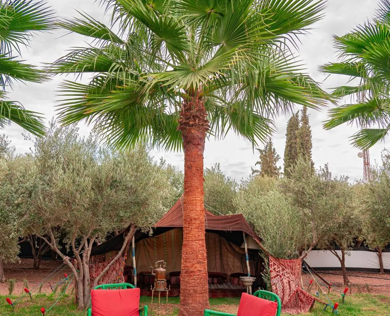 Guest house Villa Baddi Marrakech Lagouassem Morocco